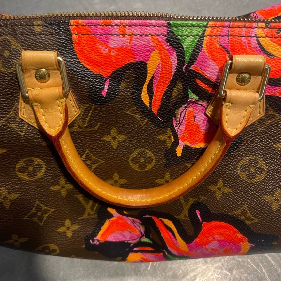 LOUIS VUITTON MONOGRAM ROSES SPEEDY 30 HANDBAG (2008) - Picture 13 of 16